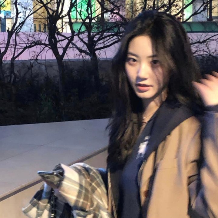 元首的面孔